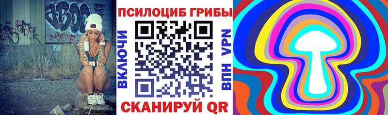 где купить наркотик  Краснослободск  Псилоцибиновые грибы Magic Shrooms 